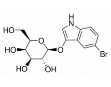 酶類(lèi)