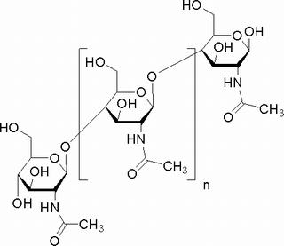 碳水化合物類(lèi)