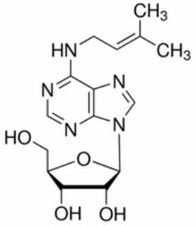 植物激素及核酸類