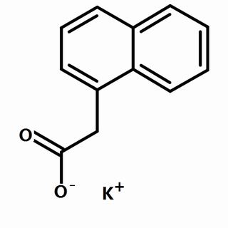 植物激素及核酸類