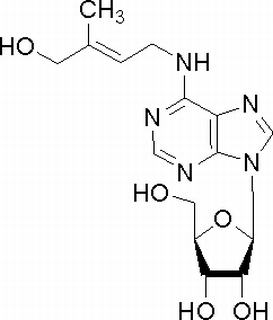 植物激素及核酸類