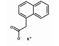 植物激素及核酸類