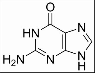 植物激素及核酸類