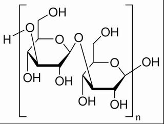 碳水化合物類(lèi)
