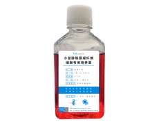 原代細(xì)胞專(zhuān)用培養(yǎng)基