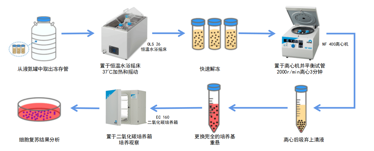 細(xì)胞復(fù)蘇步驟